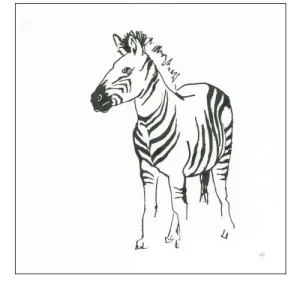 African Animals VII